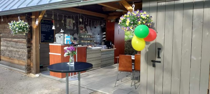 Anne-Ly Koogikoda in Nõo