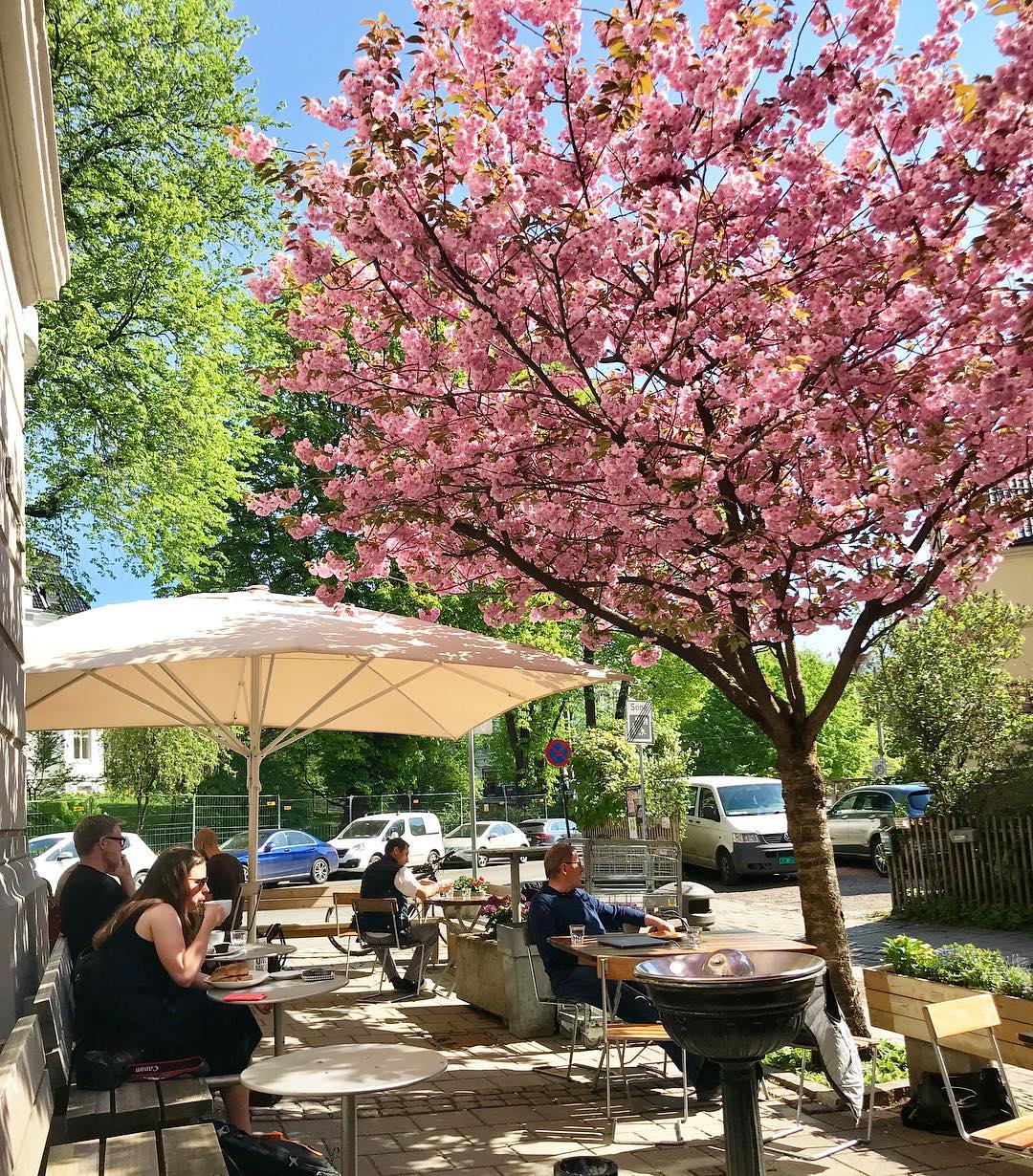 Åpent Bakeri in Oslo