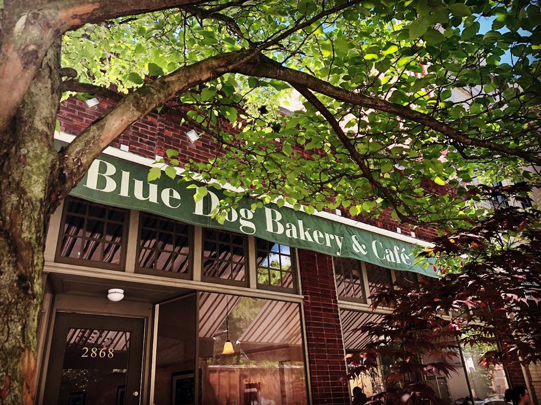 Blue Dog Bakery & Cafe in Louisville