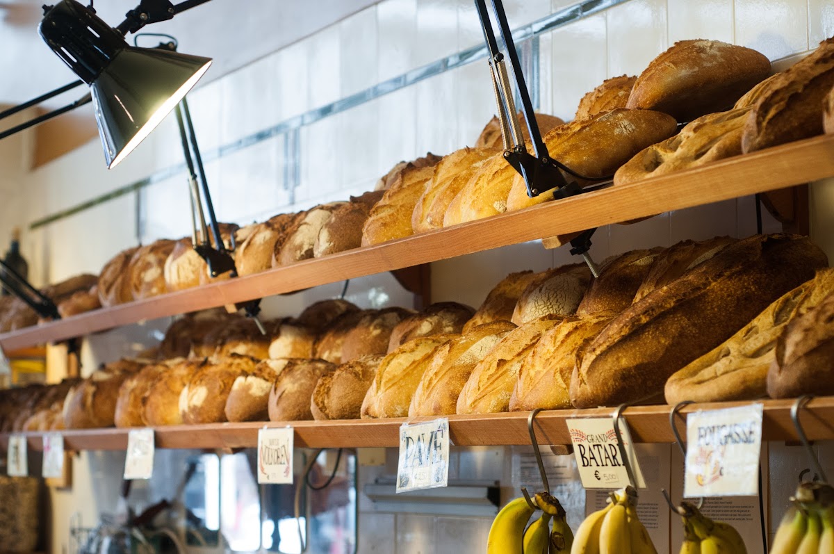 Brothers Niemeijer in Amsterdam