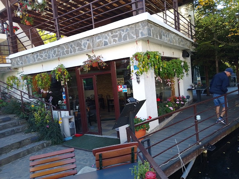Brutaria albeşti