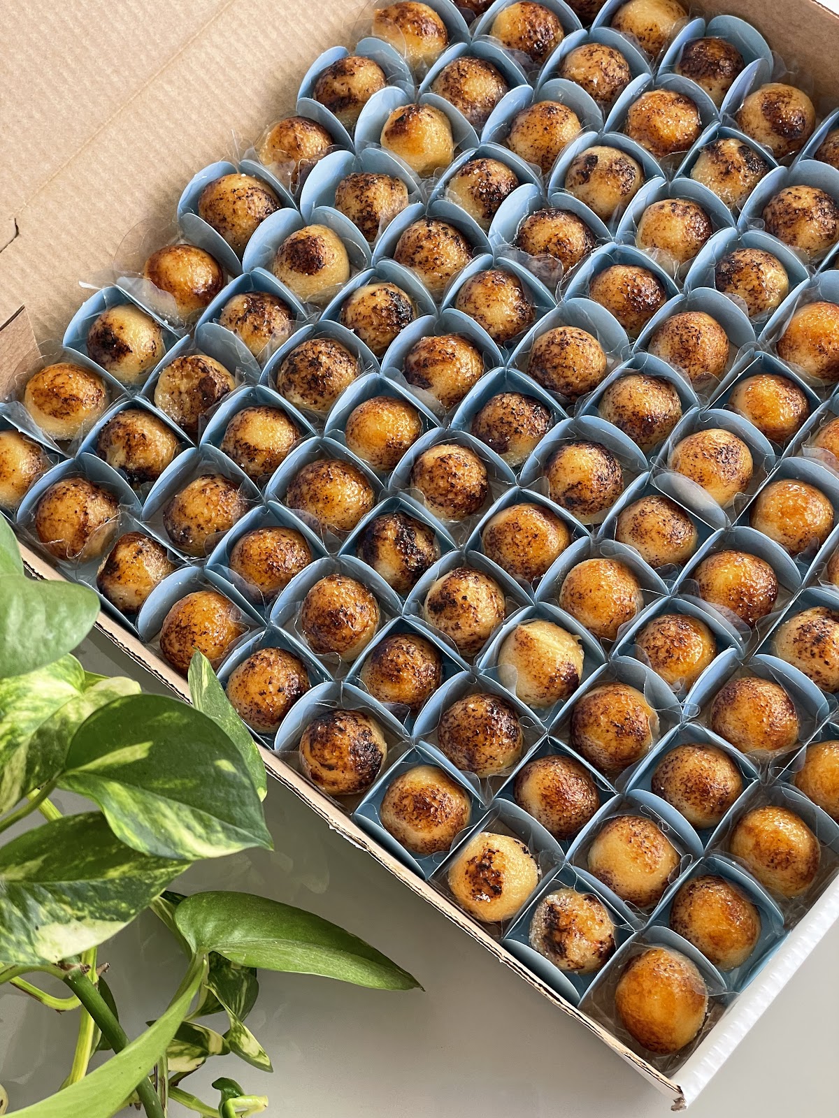 Cardamomo Confeitaria in Contagem