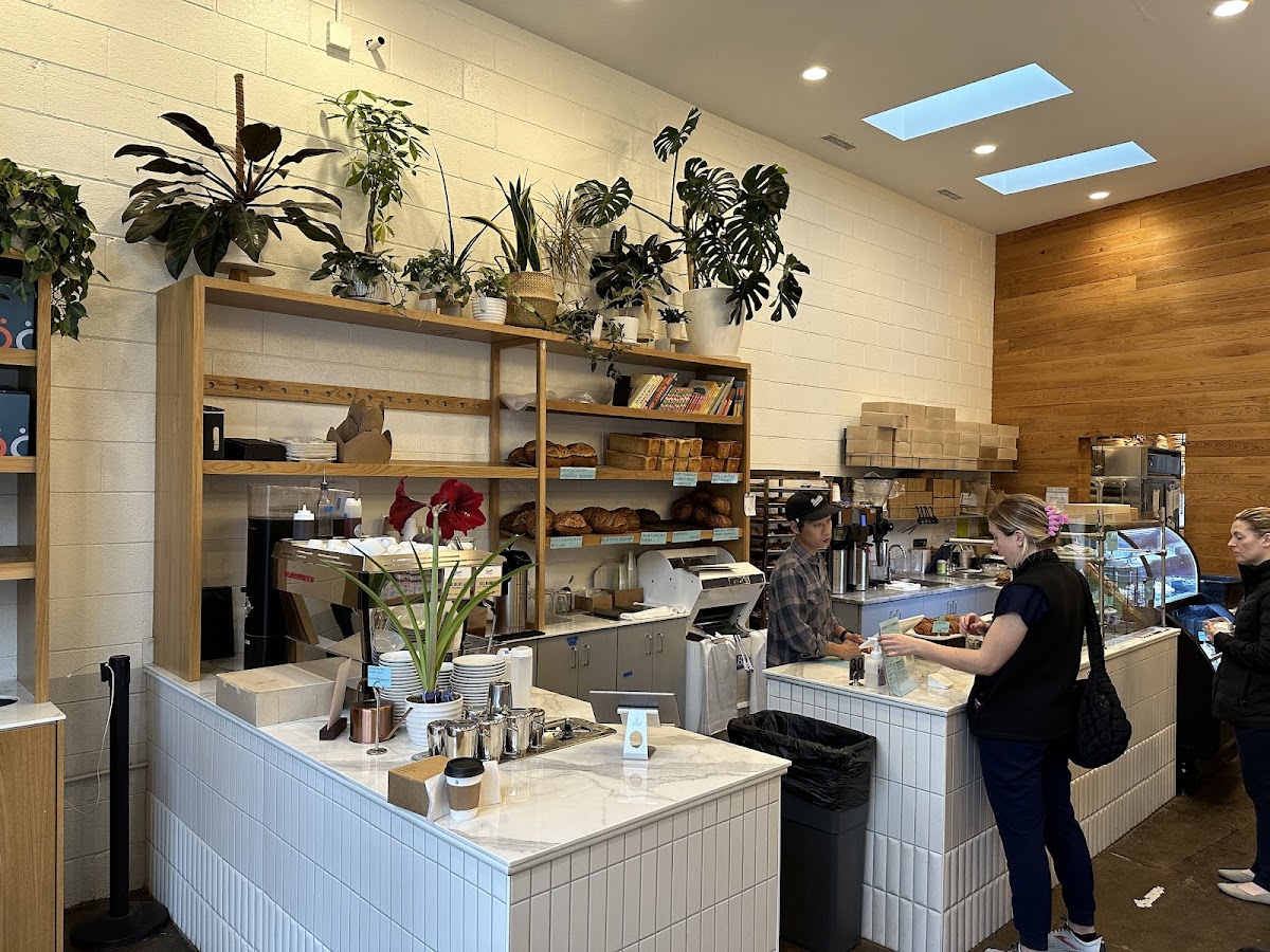 Dozen Bakery - Bakery in Nashville