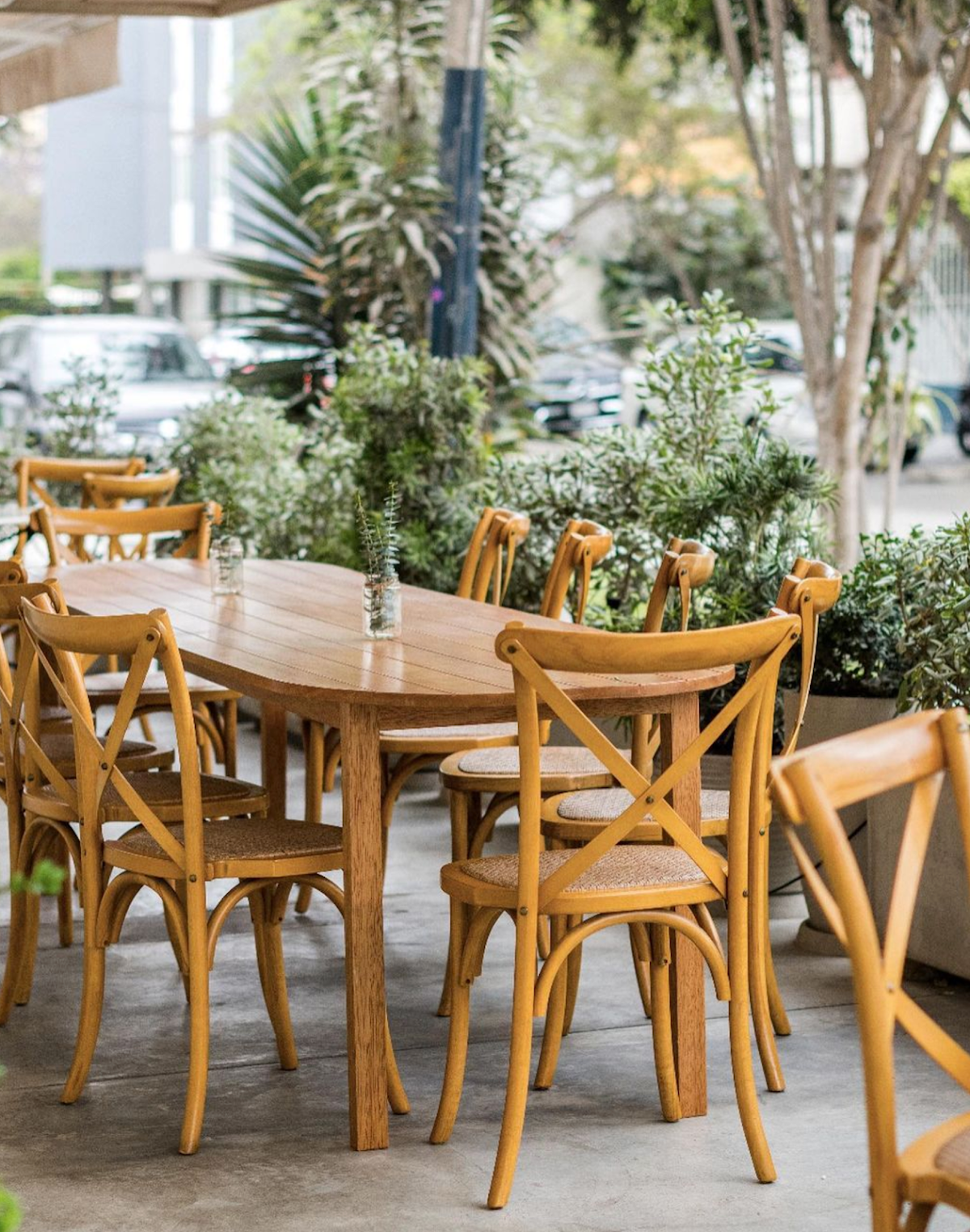 La Cristina in San Isidro