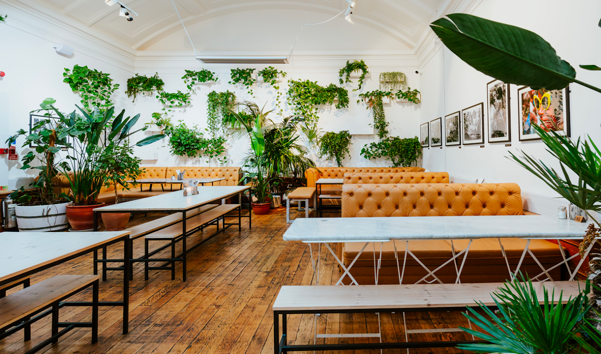 Medicine Bakery in Birmingham
