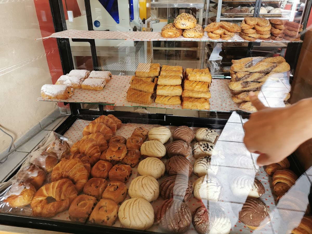 Panaderia Artesanal San Luis - Artisan Bakery in San Luis Potosí