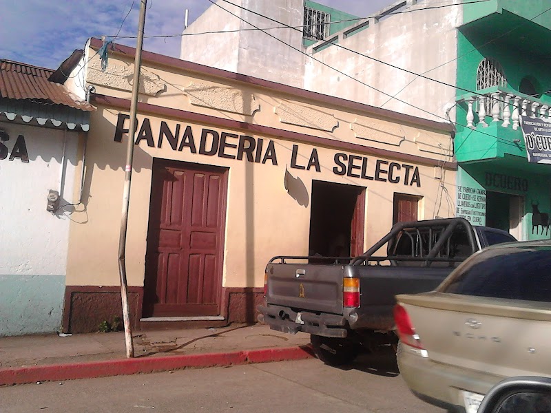 Panaderia La Selecta - Bakery in Barberena