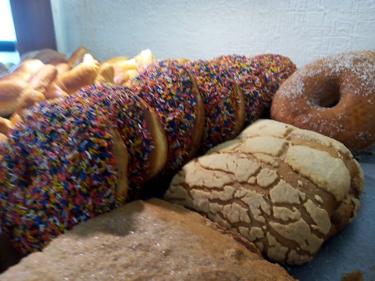 Panadería Manolo in Campeche