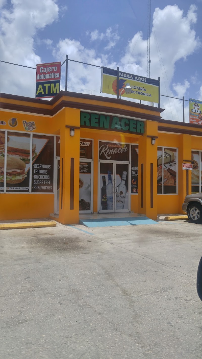 Panaderia Renacer - Bakery in Aguada