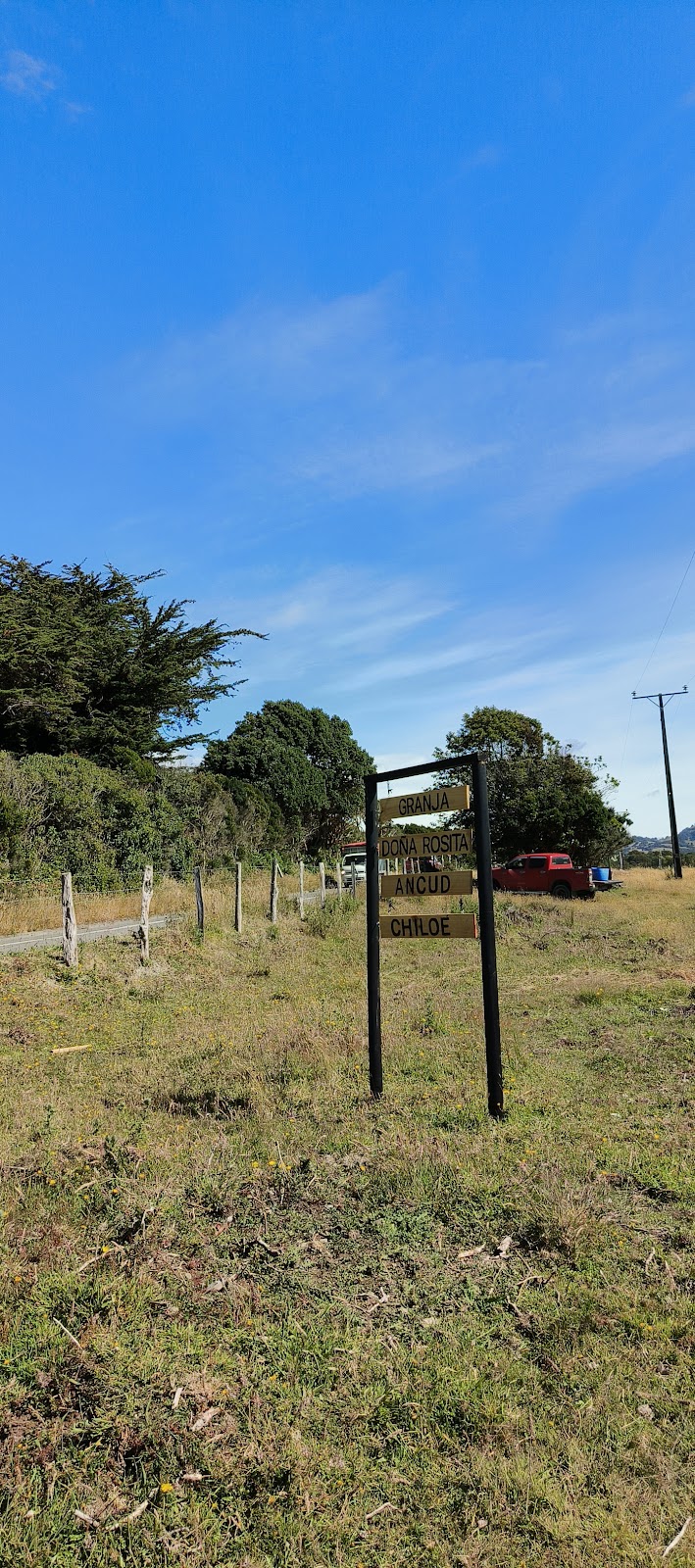 Panaderia y Minimarket Rosita in Ancud