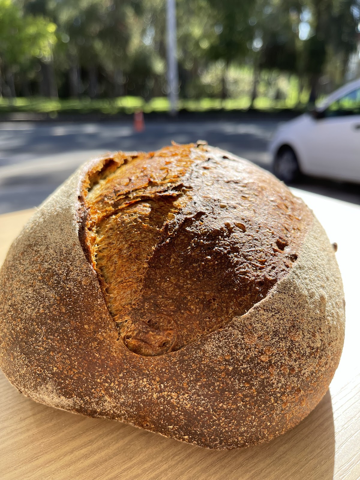 Primitivo Artisan Bakery in Cuenca
