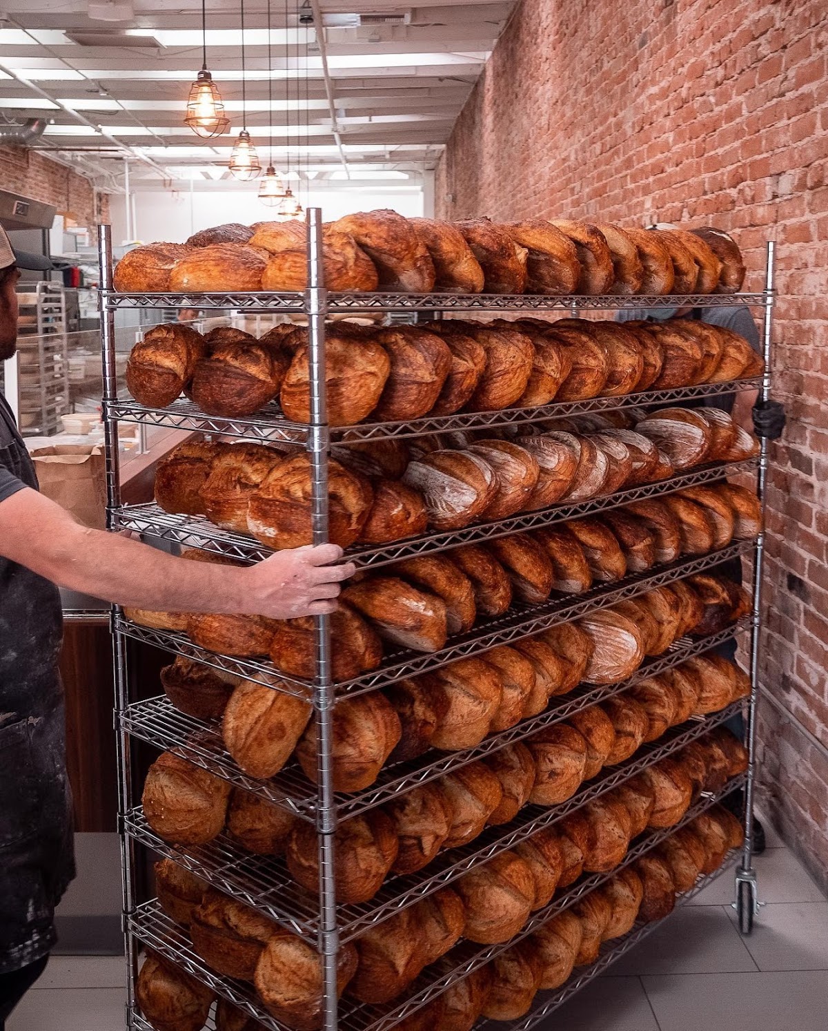 Proof Bread in Mesa