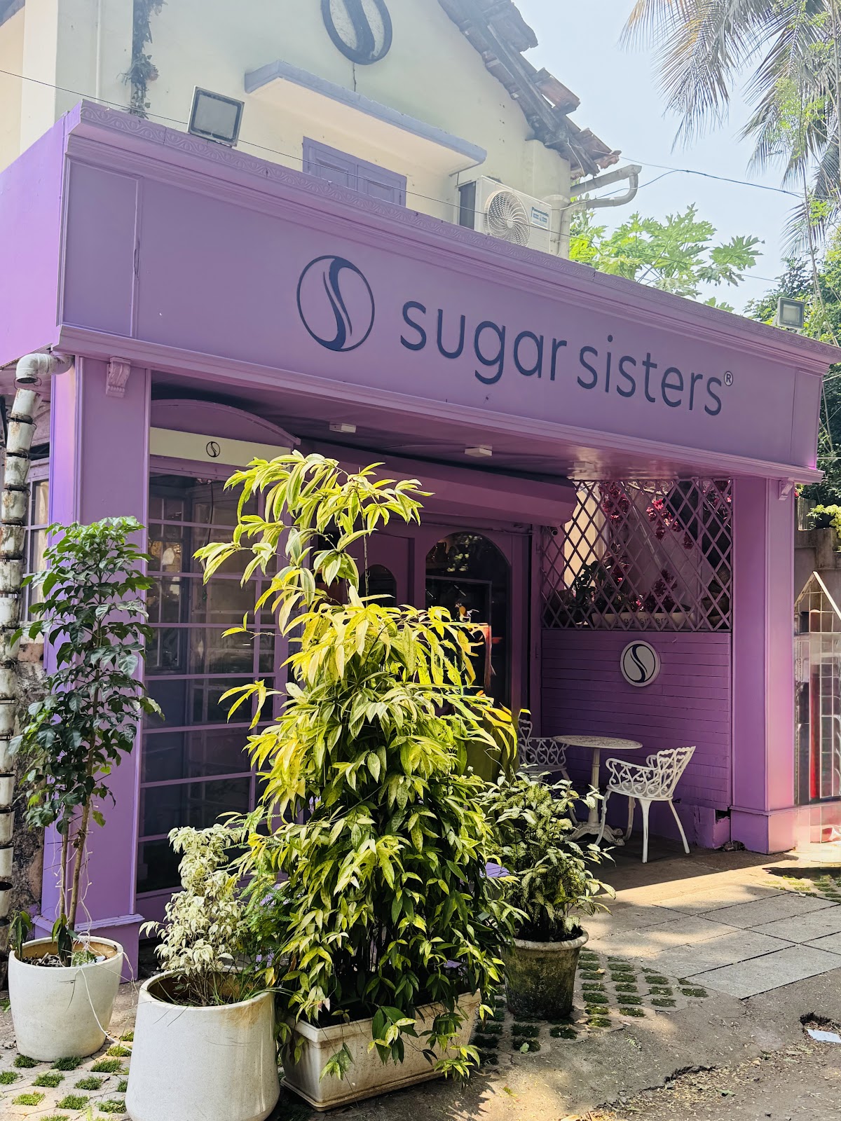 Sugar Sisters in Kozhikode
