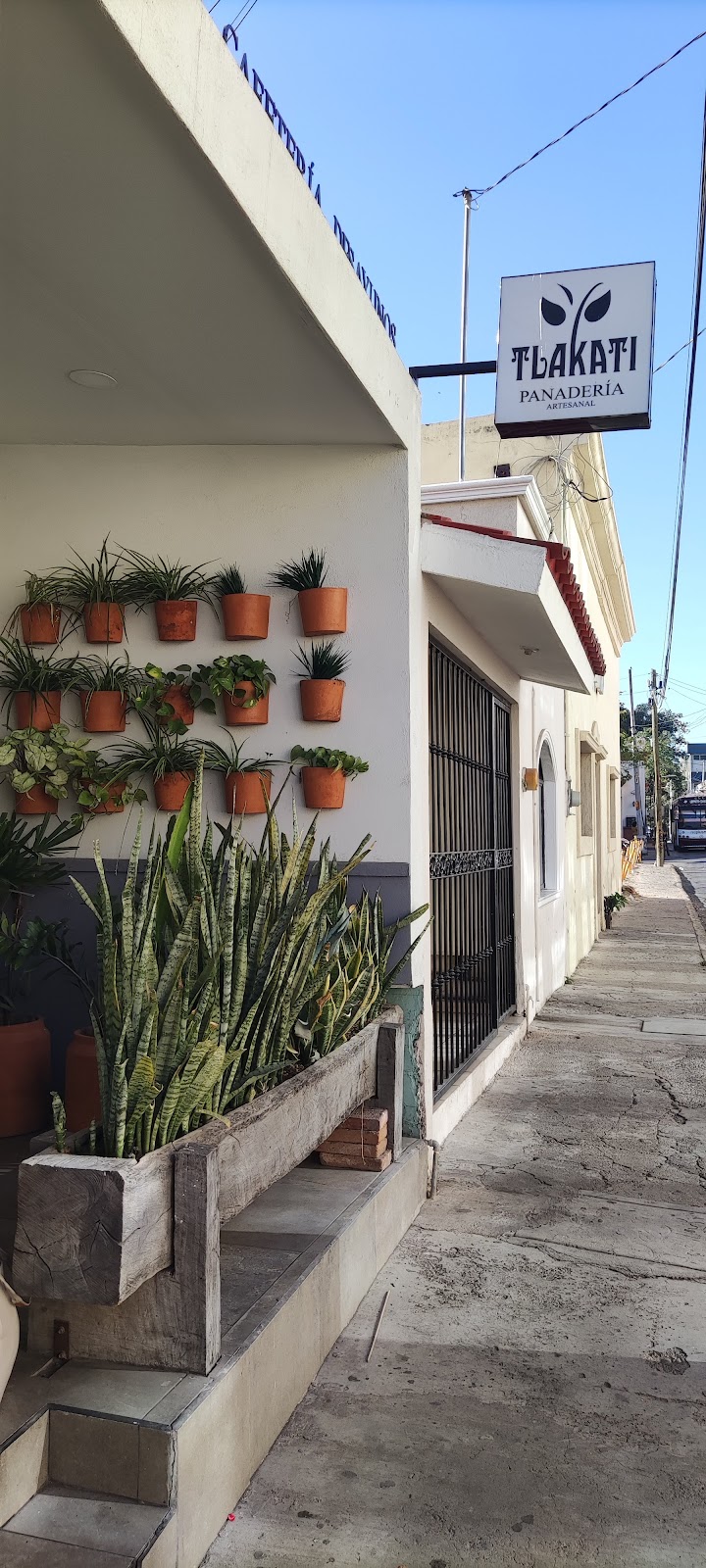 Tlakati Panaderia Artesanal - Artisan Bakery in Culiacán