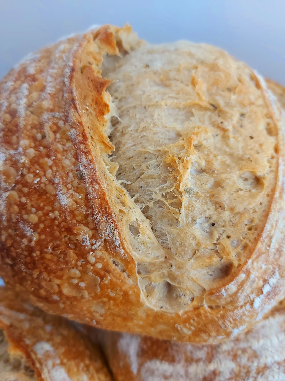 Tria Bakery - Bakery in São José do Rio Preto